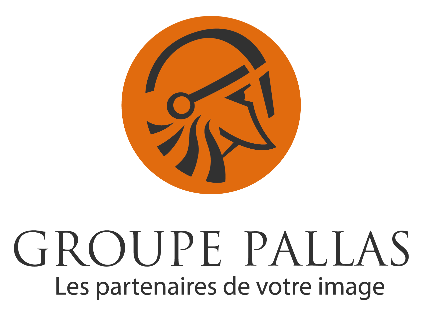 Logo Groupe Pallas